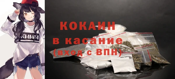 мет Алексин