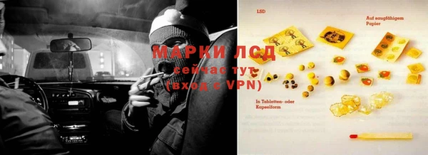 стаф Абинск