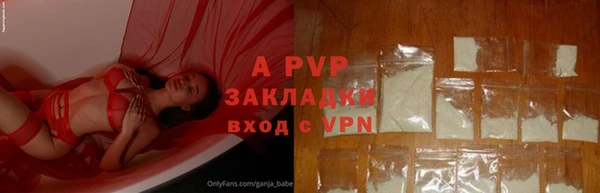 ECSTASY Абаза