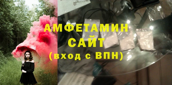 мет Алексин