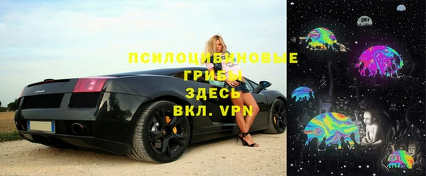 мет Алексин