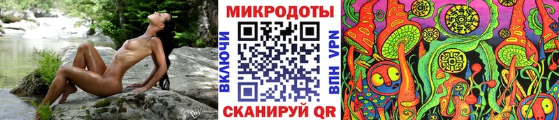 Галлюциногенные грибы прущие грибы  купить   Ясный 